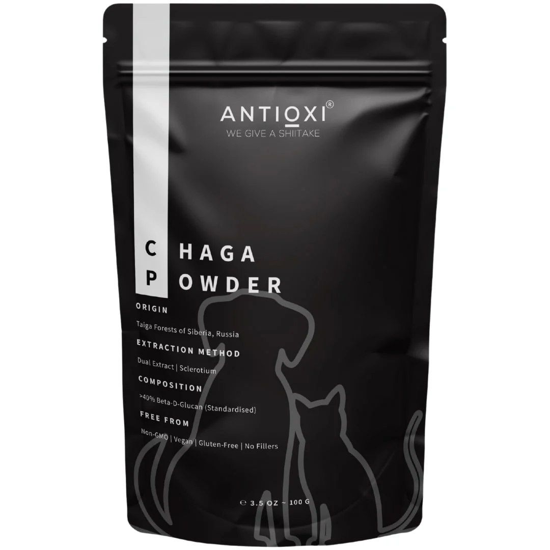 Chaga | Pets - Image 6