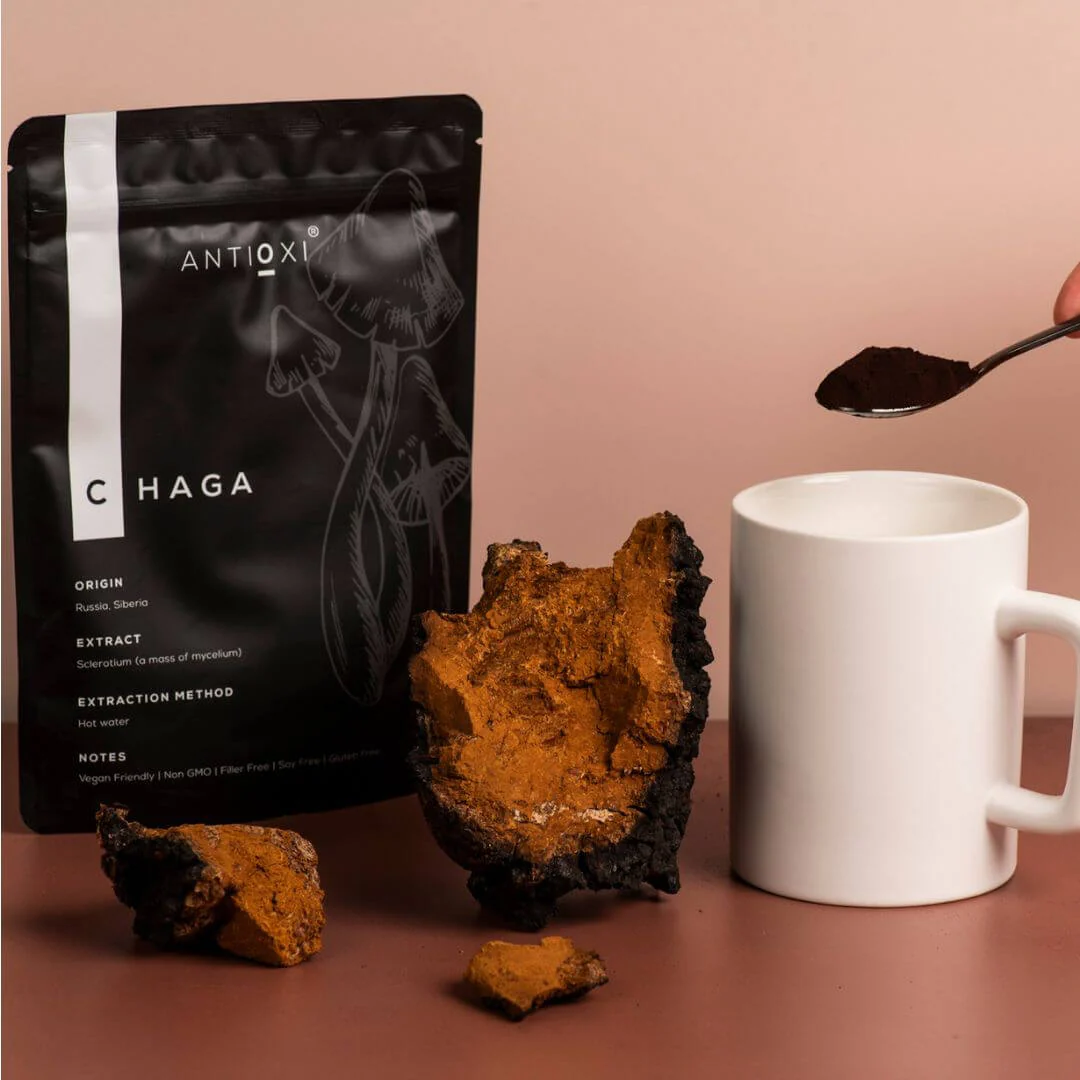 Chaga (Inonotus obliquus)